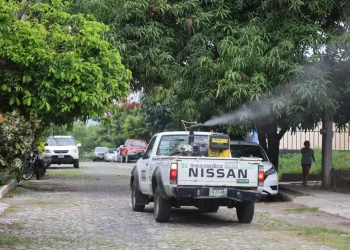 Salud Colima fumigará contra el mosco transmisor del dengue en zonas prioritarias de Colima, Manzanillo y Villa de Álvarez