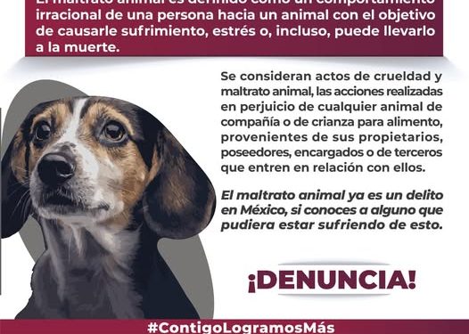 ¿Sabes que es el maltrato animal? FGE
