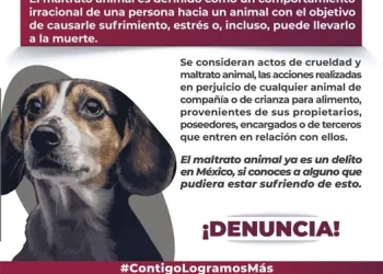 ¿Sabes que es el maltrato animal? FGE