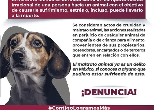 ¿Sabes que es el maltrato animal? FGE
