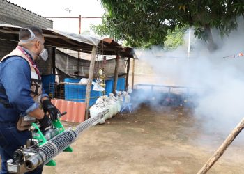 Salud: Colima sin defunciones por dengue; sólo 45 casos durante este año