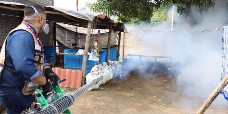 Salud: Colima sin defunciones por dengue; sólo 45 casos durante este año
