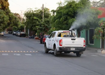 Salud Colima fumiga contra el dengue en 6 municipios, esta semana
