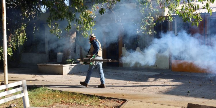 Intensifica Salud Colima fumigación en municipios de riesgo a dengue