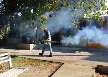 Intensifica Salud Colima fumigación en municipios de riesgo a dengue