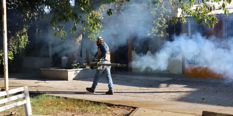 Intensifica Salud Colima fumigación en municipios de riesgo a dengue