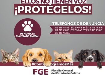Ellos no tienen voz ¡PROTÉGELOS! FGE