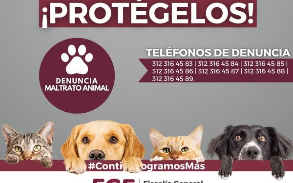 Ellos no tienen voz ¡PROTÉGELOS! FGE