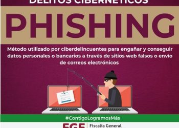 DELITOS CIBERNETICOS PISHING FGE