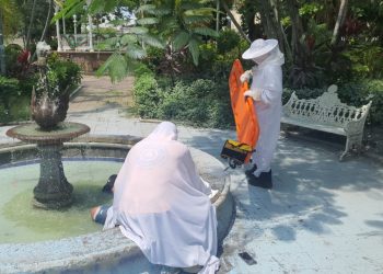 UEPC atiende a hombre atacado por enjambre de abejas en el centro de Colima