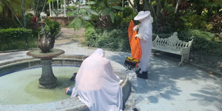UEPC atiende a hombre atacado por enjambre de abejas en el centro de Colima
