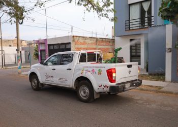 Intensifica Secretaría de Salud la fumigación en Colima, Comala, Armería y Manzanillo