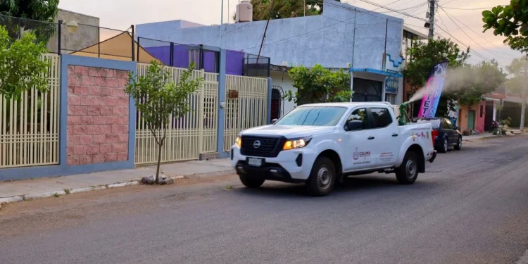 Salud Colima refuerza la fumigación en los cuatro municipios más grandes