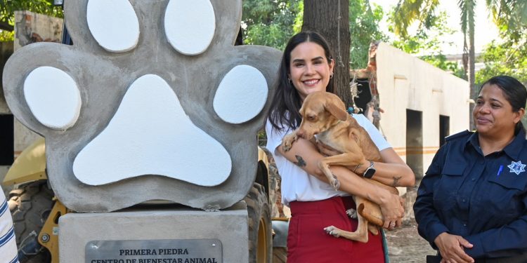 Rosi Bayardo coloca primera piedra del Centro de Bienestar Animal