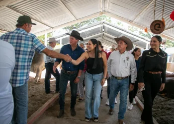 Para seguir apoyando al sector ganadero, se prevé aumento a Subseder en el Presupuesto 2026: Indira Vizcaíno