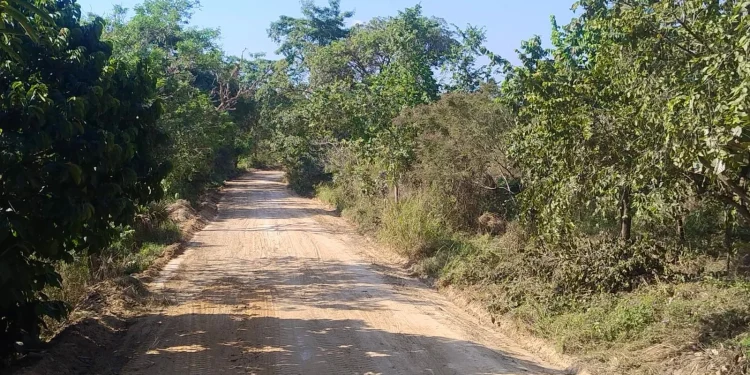 Gobierno de Rosi Bayaro rehabilita caminos sacacosechas y calles rurales