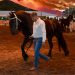 Petrolero, campeón del 4° Concurso Morfológico de Caballos Frisones en la Feria de Colima