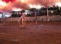 Arrancó la fiesta del Rodeo en el Teatro del Caballo de la Feria de Colima