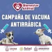 Gobierno de Rosi Bayardo continúa campaña gratuita de vacunación antirrábica para perros y gatos