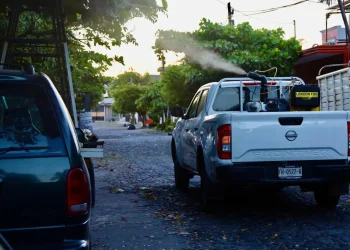 Salud Colima mantiene firme la fumigación contra el dengue