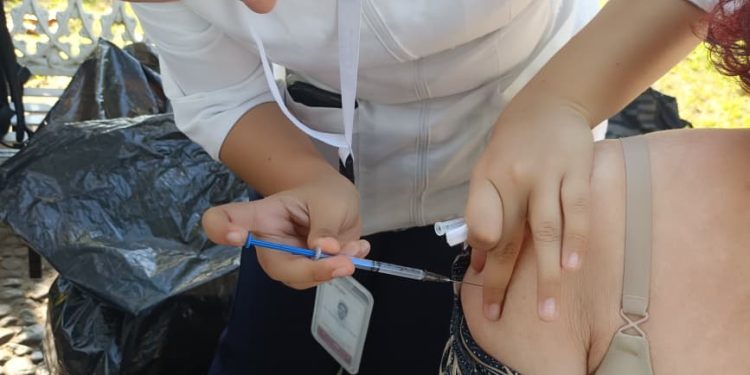 Salud Colima habilita 8 puntos de vacunación en Colima, Villa de Álvarez, Tecomán y Manzanillo
