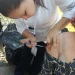 Salud Colima habilita 8 puntos de vacunación en Colima, Villa de Álvarez, Tecomán y Manzanillo