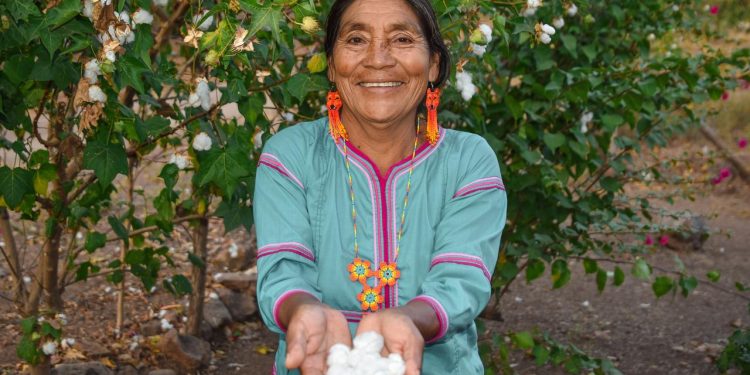 3 millones de mexicanas ya reciben la Pensión Mujeres Bienestar: Ariadna Montiel