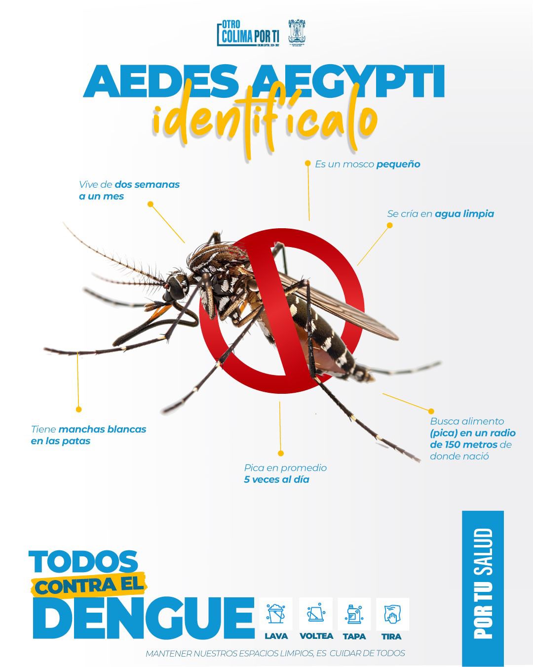 ¡Identifícalo y elimínalo de tu hogar!