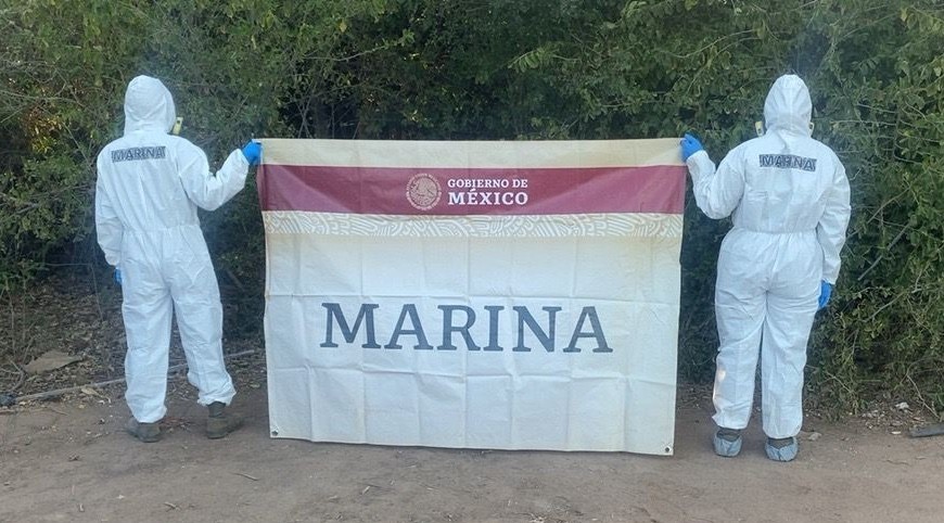 Marina en coadyuvancia con SSPC, localiza laboratorio clandestino en el poblado “El Tule”, Culiacán, Sinaloa