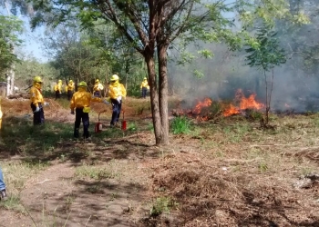 Brigada de Gobierno del Estado de Colima está lista para combatir incendios forestales