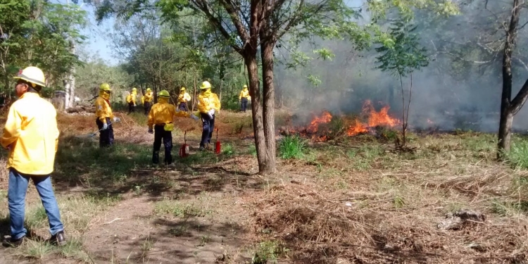 Brigada de Gobierno del Estado de Colima está lista para combatir incendios forestales