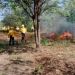 Brigada de Gobierno del Estado de Colima está lista para combatir incendios forestales