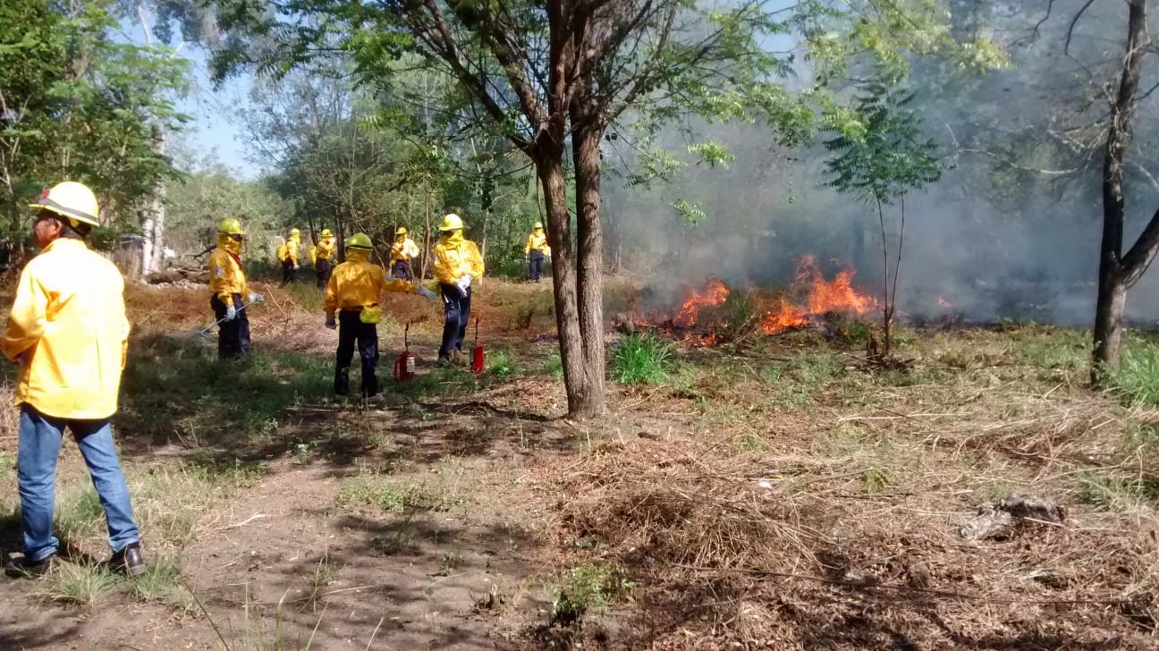 Brigada de Gobierno del Estado de Colima está lista para combatir incendios forestales