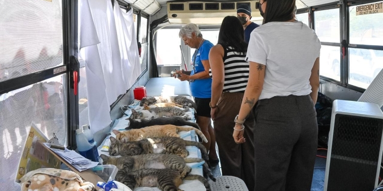 Rosi Bayardo destaca que Manzanillo es referente en bienestar animal