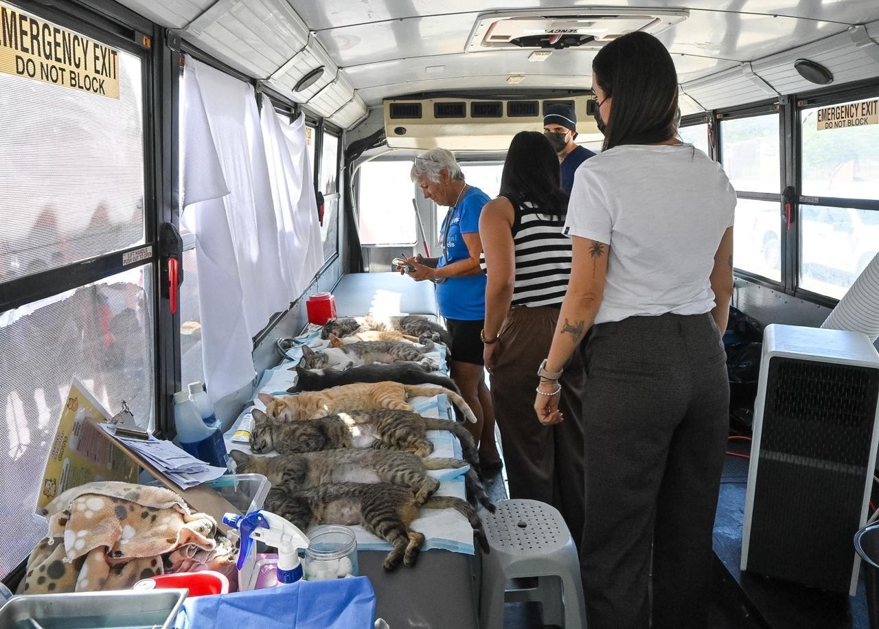 Rosi Bayardo destaca que Manzanillo es referente en bienestar animal