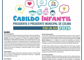 ¿Qué harías si fueras presidenta o presidente municipal de Colima por un día?