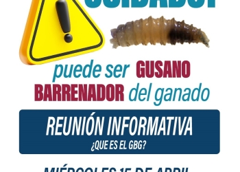 ¿Conoces todo acerca del #GusanoBarrenador del ganado?