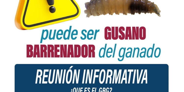 ¿Conoces todo acerca del #GusanoBarrenador del ganado?