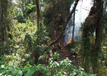 Imades Colima pide prevenir incendios forestales en estiaje; 90% son provocados por actividad humana