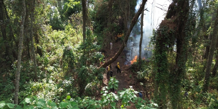 Imades Colima pide prevenir incendios forestales en estiaje; 90% son provocados por actividad humana