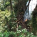 Imades Colima pide prevenir incendios forestales en estiaje; 90% son provocados por actividad humana