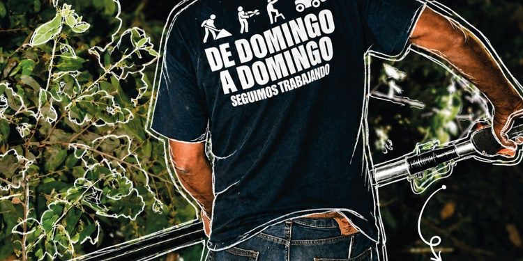 Ayuntamiento de colima, ¡#DeDomingoADomingo seguimos trabajando por Colima!