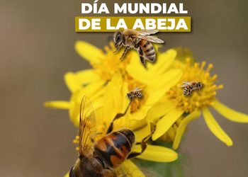 #Efeméride