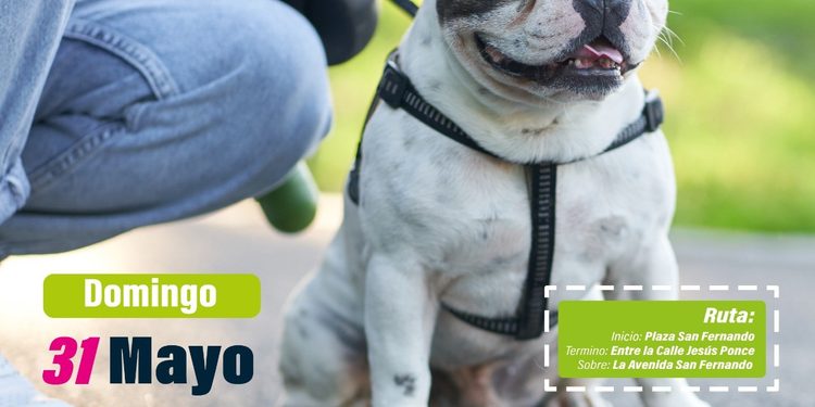 H. ayuntamiento de colima, ¡Ve con tu mejor amigo a la #VíaRecreativa!