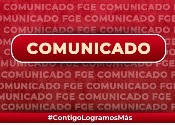 FGE investiga caso de maltrato animal: caballo está ya bajo resguardo y atención veterinaria