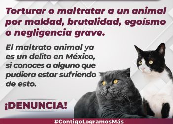 FGE. El maltrato animal también es: