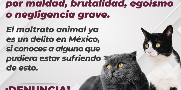 FGE.  El maltrato animal también es: