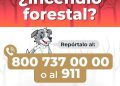 ¿Detectas un incendio forestal?