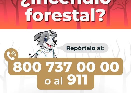 ¿Detectas un incendio forestal?