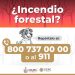 ¿Detectas un incendio forestal?
